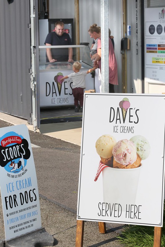 ice cream shop at y Shed Melidan